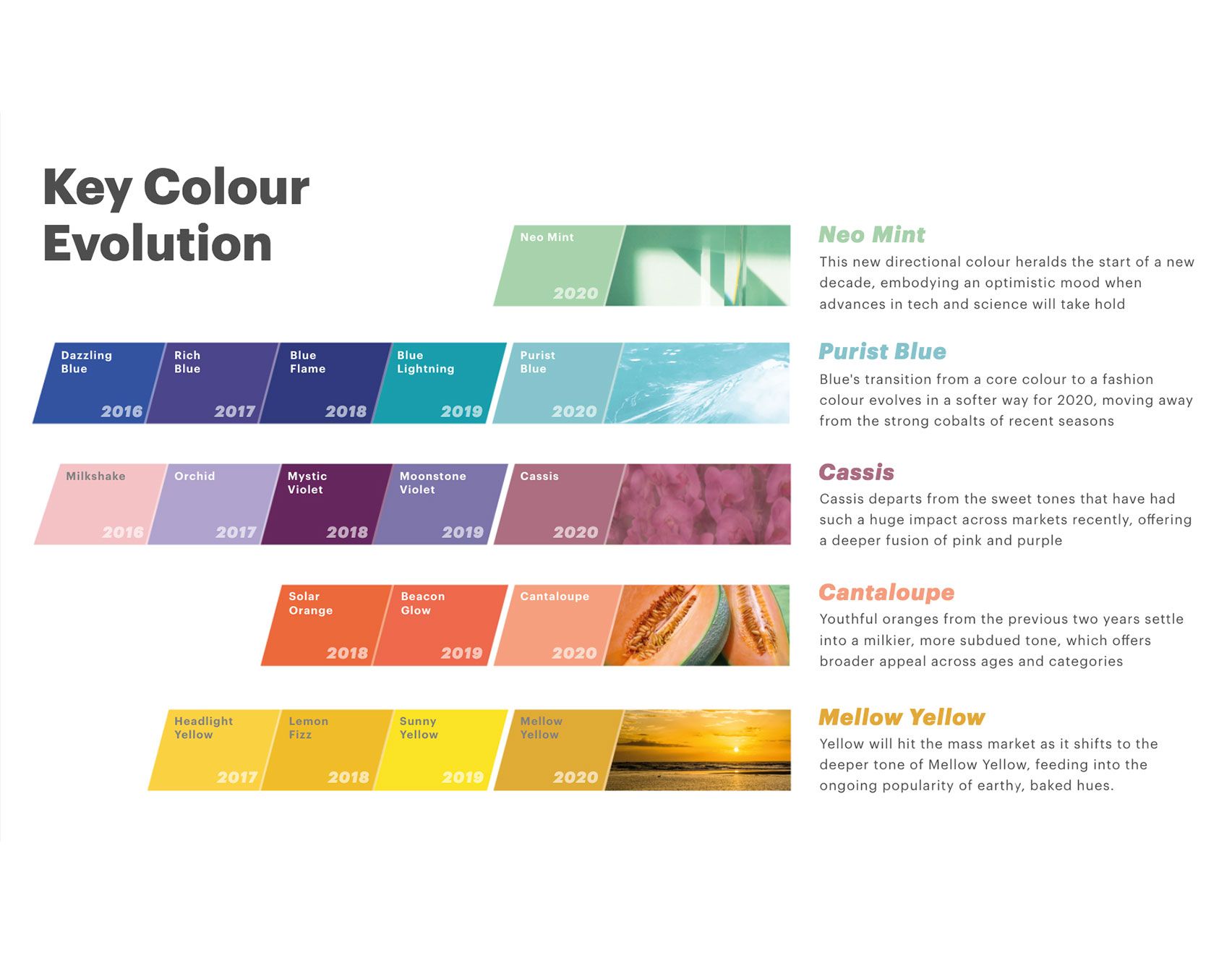 เทรนด์สีของปี 2020